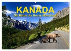 Cover-Bild zum Titel 'KANADA - Die Bären der Rocky Mountains (Wandkalender 2026 DIN A2 quer), CALVENDO Monatskalender' von 'Hans-Gerhard Pfaff'
