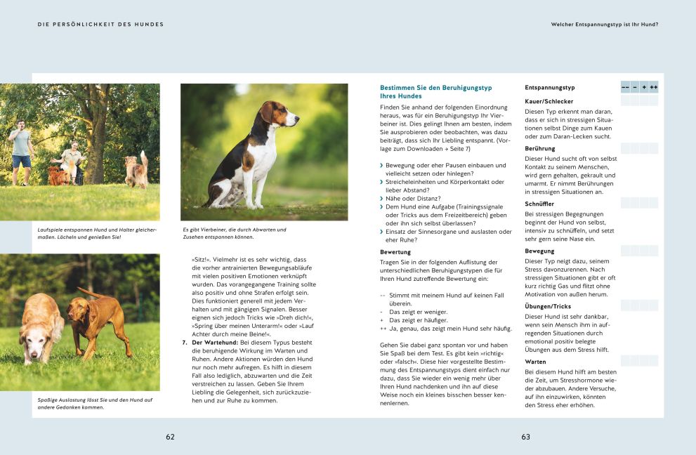 InsideView 7