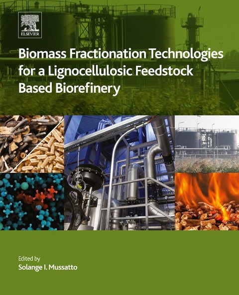 Biomass Fractionation Technologies for a Lignocellulosic Feedstock Based Biorefinery - 