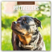 Cover-Bild zum Titel 'Rottweilers - Rottweiler 2027 - 16-Monatskalender' von 'Robin Red'