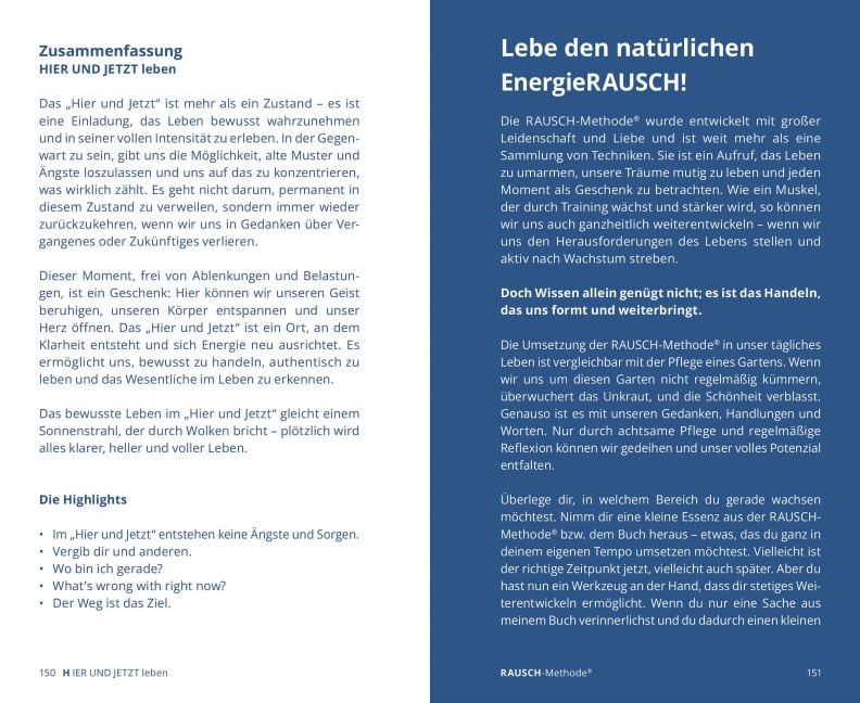 InsideView 13