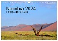 Namibia 2024 Farben der Wüste (Wandkalender 2024 DIN A4 quer), CALVENDO Monatskalender - Iwona Schellnegger