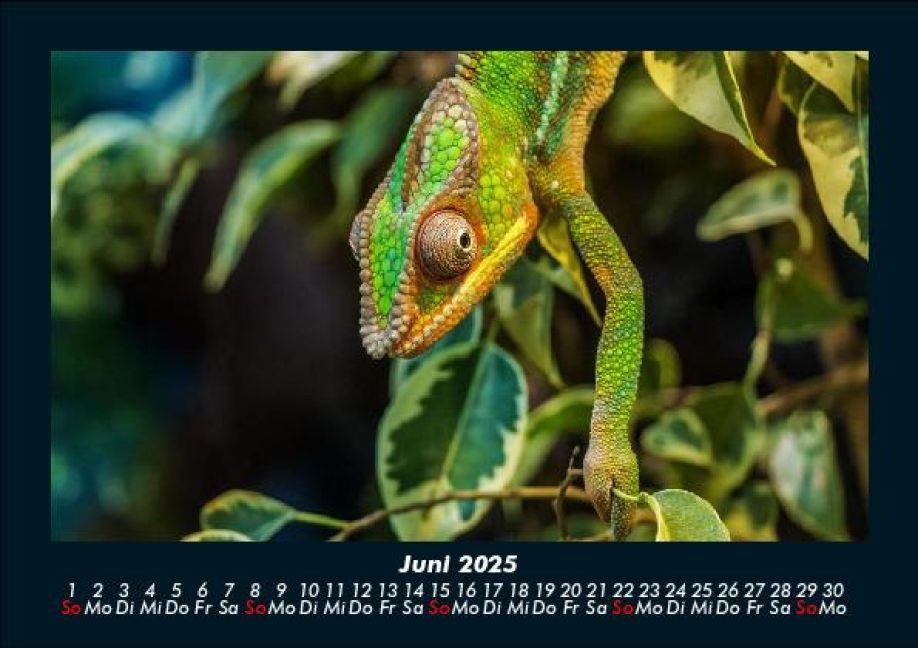 InsideView 10