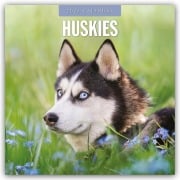 Huskies - Husky - Huskys 2026 - 16-Monatskalender - Robin Red