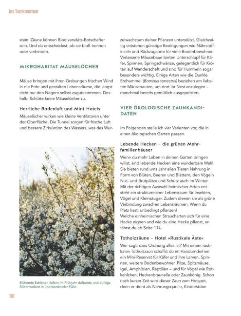 InsideView 11