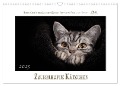 Zauberhafte Kätzchen (Wandkalender 2025 DIN A3 quer), CALVENDO Monatskalender - Martina Wrede