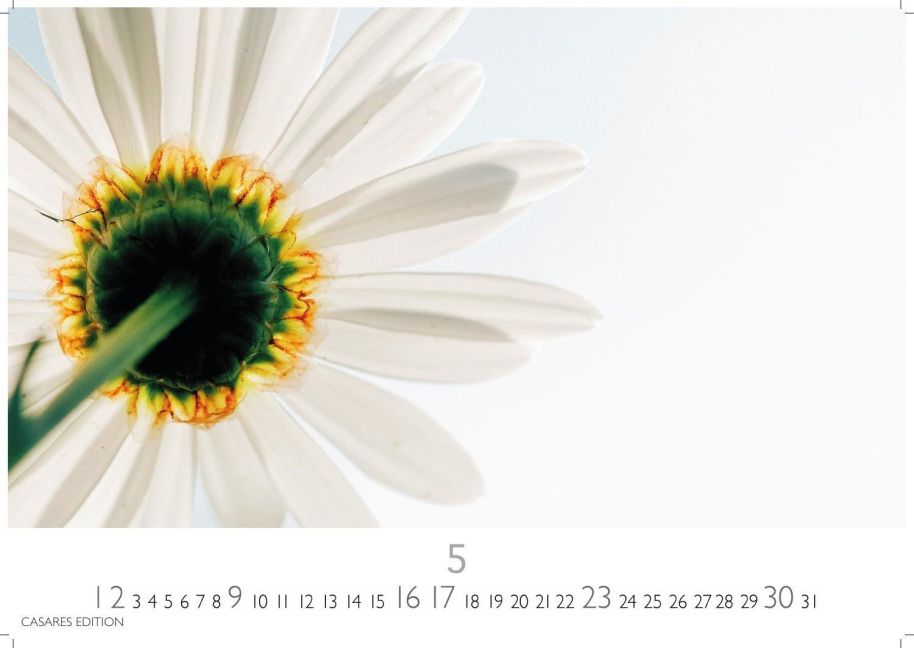 InsideView 5