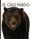 Cover-Bild zum Titel 'El Oso Pardo' von 'Kate Riggs'