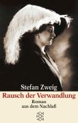 Cover-Bild zum Titel 'Rausch der Verwandlung' von 'Stefan Zweig'