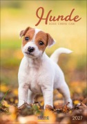 Cover-Bild zum Titel 'Hunde 2027' von ''