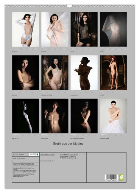 InsideView 5