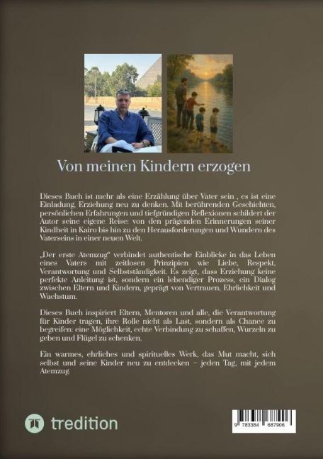 InsideView 1