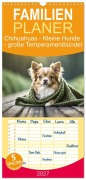 Cover-Bild zum Titel 'Familienplaner 2027 - Chihuahuas - Kleine Hunde - große Temperamentbündel mit 5 Spalten (Wandkalender, 21 x 45 cm) CALVENDO' von 'Fotodesign Verena Scholze'