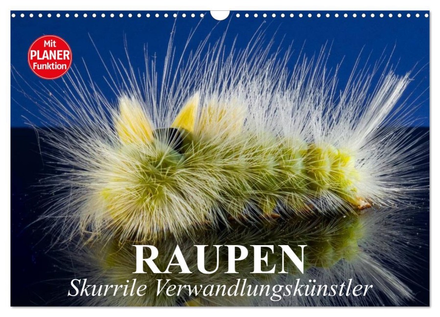 Raupen. Skurrile Verwandlungskünstler (Wandkalender 2025 DIN A3 quer), CALVENDO Monatskalender - Elisabeth Stanzer