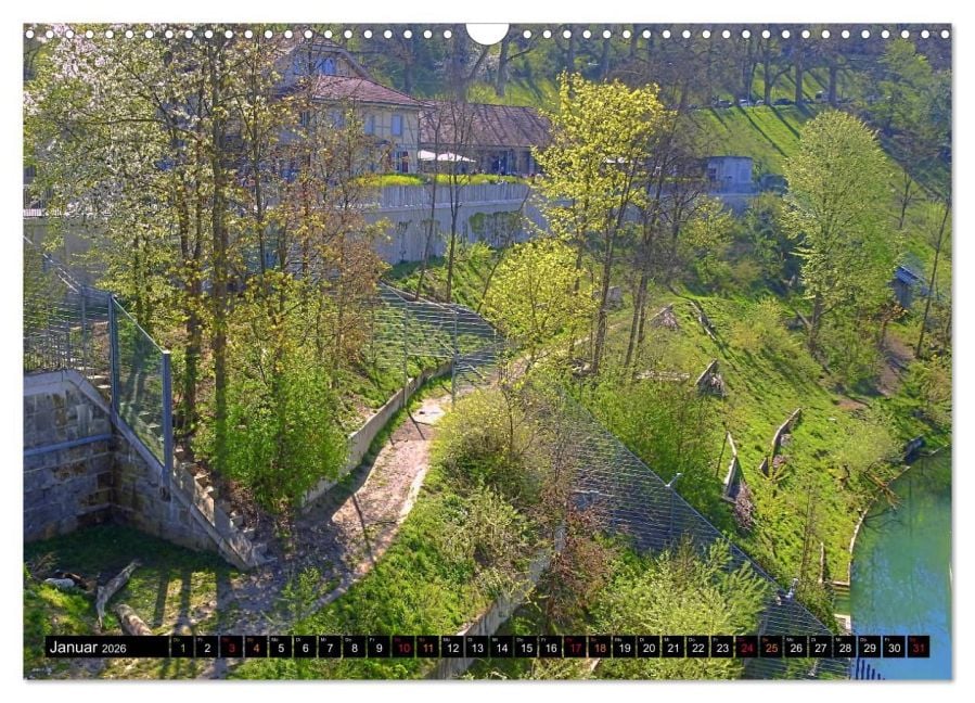 InsideView 6