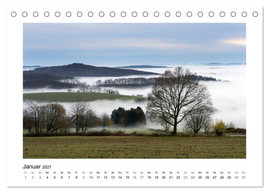 InsideView 6