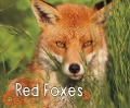 Red Foxes - G. G. Lake