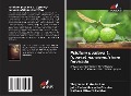 Psidium guajava L. (guava) nanoemulsione larvicida - Thaylanna Pinto de Lima, João Pedro Mesquita Oliveira, Gustavo Oliveira Everton