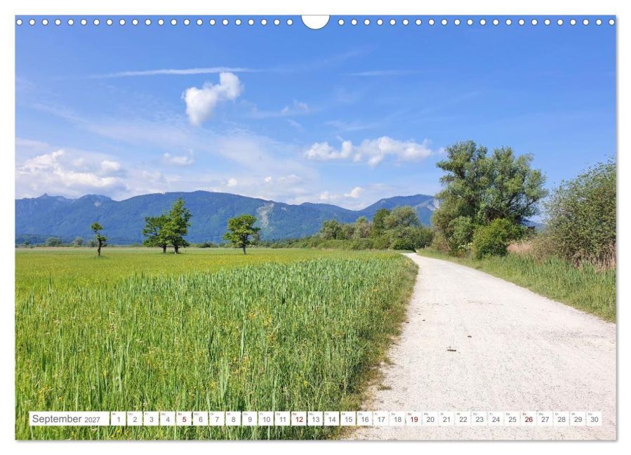 InsideView 14