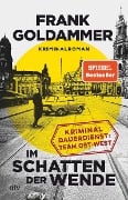 Cover-Bild zum Titel 'Im Schatten der Wende' von 'Frank Goldammer'