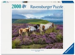 Cover-Bild zum Titel 'Erwachsenenpuzzle 2000 Teile - Wildpferde in der Heide' von ''