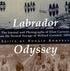 Labrador Odyssey - Ronald Rompkey