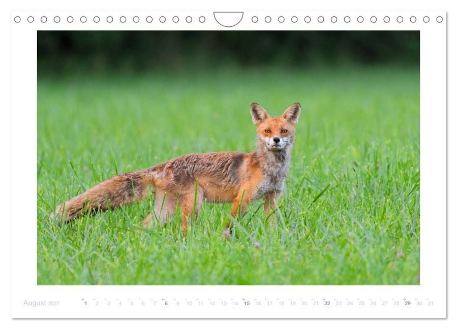 InsideView 13
