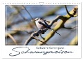 Gefiederte Gartengäste, Schwanzmeisen (Wandkalender 2024 DIN A4 quer), CALVENDO Monatskalender - 