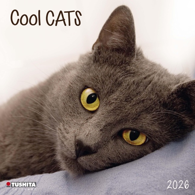 Cool Cats 2026 - 