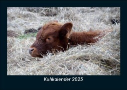 Cover-Bild zum Titel 'Kuhkalender 2025 Fotokalender DIN A5' von 'Tobias Becker'