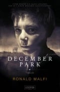 Cover-Bild zum Titel 'DECEMBER PARK' von 'Ronald Malfi'
