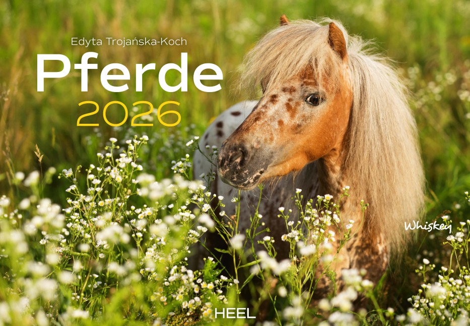 Pferde Kalender 2026 Wandkalender - 