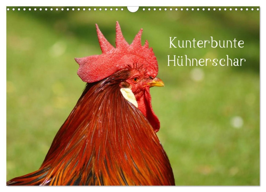Kunterbunte Hühnerschar (Wandkalender 2025 DIN A3 quer), CALVENDO Monatskalender - Kattobello Kattobello