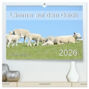 Cover-Bild zum Titel 'Lämmer auf dem Deich (hochwertiger Premium Wandkalender 2026 DIN A2 quer), Kunstdruck in Hochglanz' von 'Carola Schubbel'
