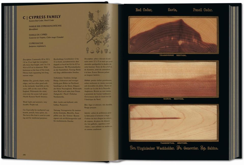 InsideView 1