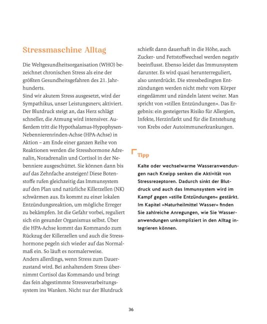 InsideView 39