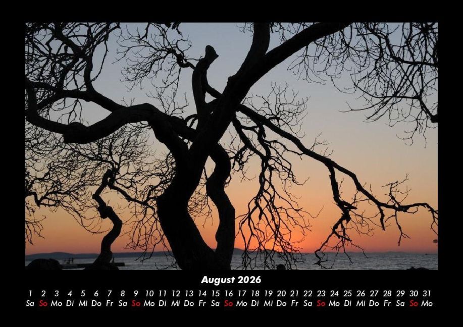 InsideView 12