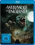 Cover-Bild zum Titel 'A Werewolf in England' von 'Charlie Steeds, Simone Cilio'