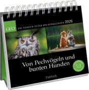 Postkartenkalender 2026: Von Pechvögeln und bunten Hunden - Geo