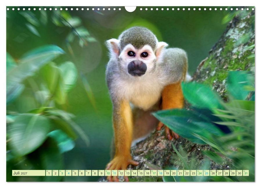 InsideView 12