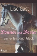 Cover-Bild zum Titel 'Ein Fohlen bring Glück' von 'Lise Gast'