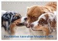 Australian Shepherd 2024 (Tischkalender 2024 DIN A5 quer), CALVENDO Monatskalender - Annett Mirsberger