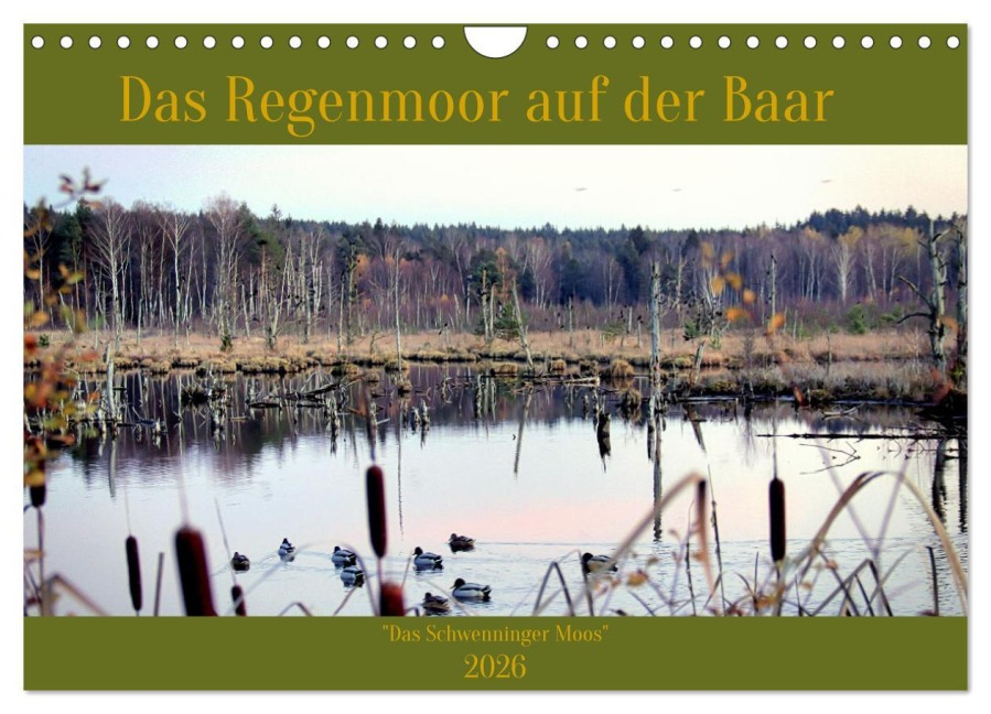 Das Regenmoor auf der Baar (Wandkalender 2026 DIN A4 quer), CALVENDO Monatskalender - Thorsten Kubisch