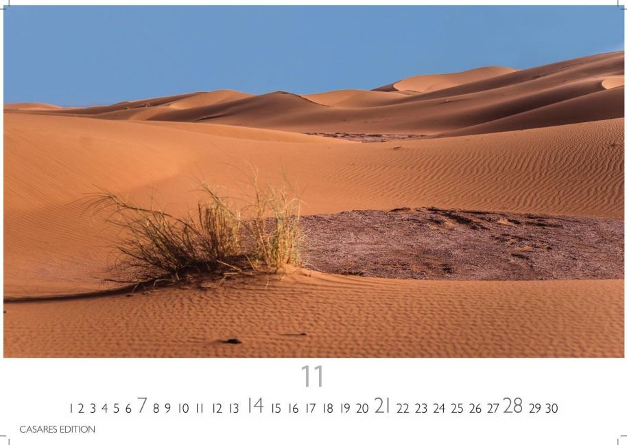 InsideView 11