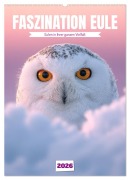 Cover-Bild zum Titel 'Faszination Eule - Eulen in ihrer ganzen Vielfalt (Wandkalender 2026 DIN A2 hoch), CALVENDO Monatskalender' von 'Mb Fotografie'