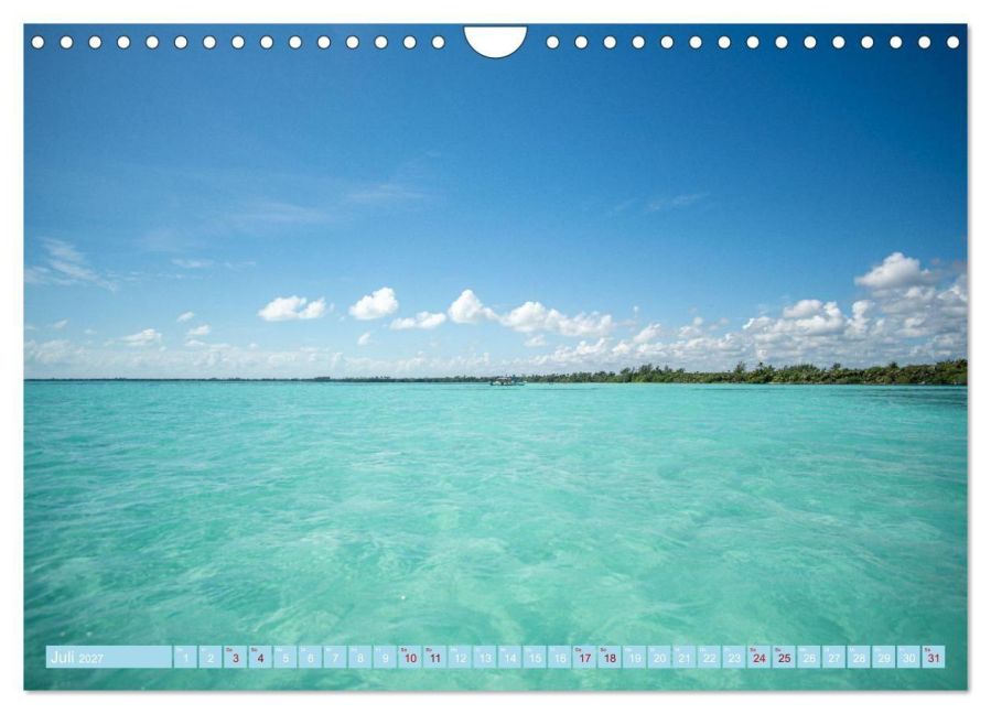 InsideView 12