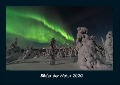 Bilder der Natur 2020 Fotokalender DIN A4 - Tobias Becker