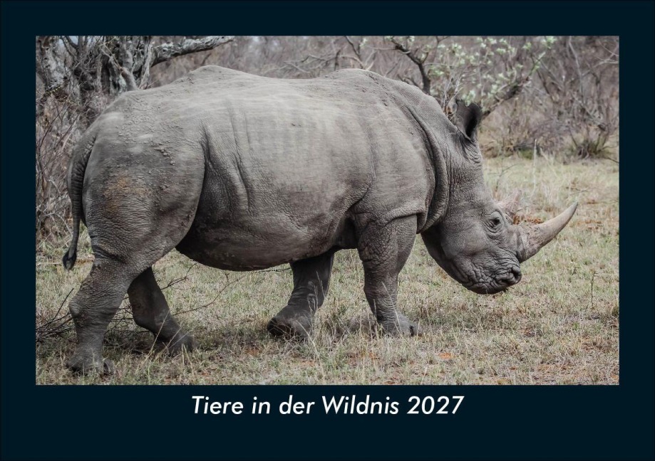 Tiere in der Wildnis 2027 Fotokalender DIN A5 - Tobias Schmitt, Kevin Heber