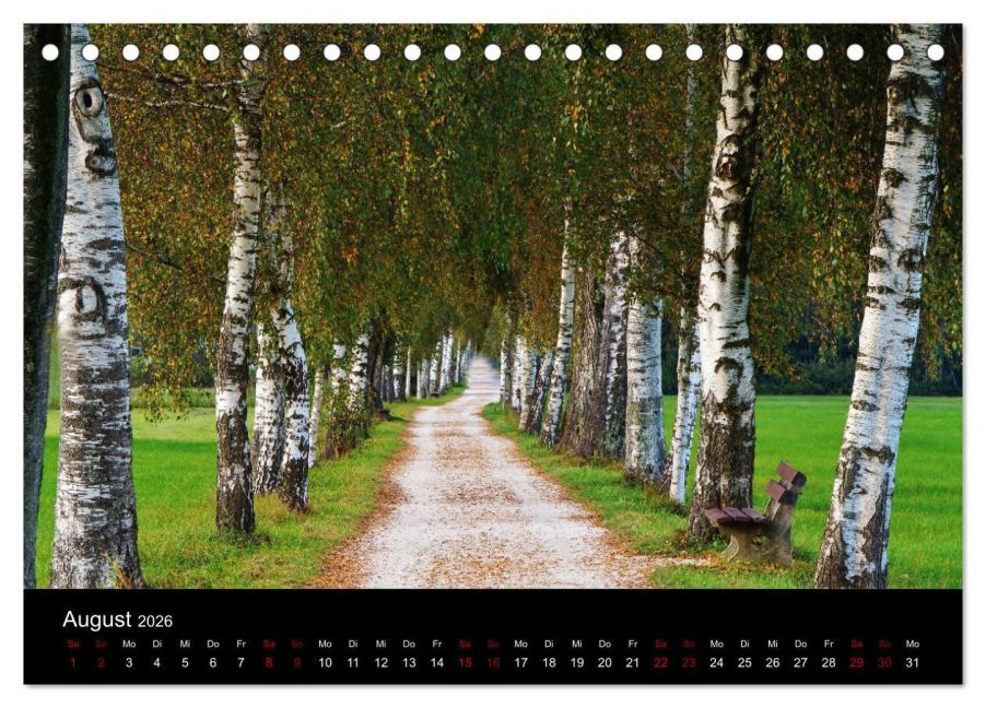 InsideView 13