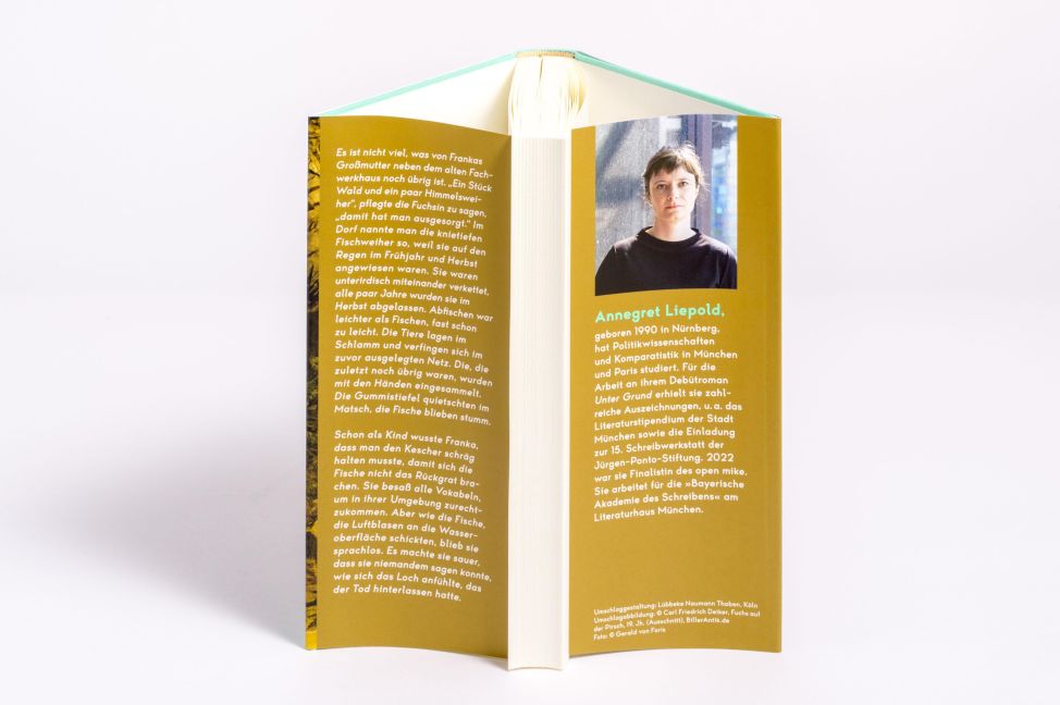 InsideView 3